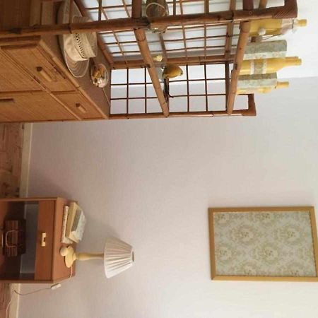Casa Dos Pocinhos Ferias Tranquilas No Campo Torres Novas Zewnętrze zdjęcie